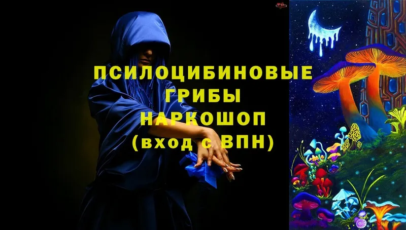 Псилоцибиновые грибы Magic Shrooms Клинцы